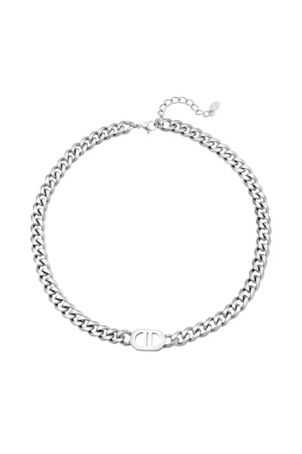 Ketting the good life, Ketting, dames, stainless steel, zilver kleurig
