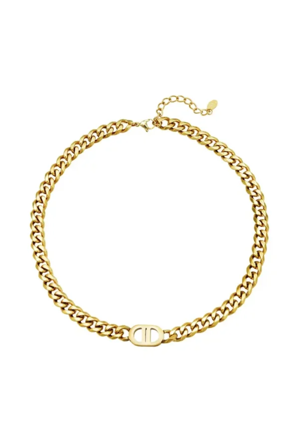 Ketting the good life,Ketting, dames stainless steel, goud kleurig