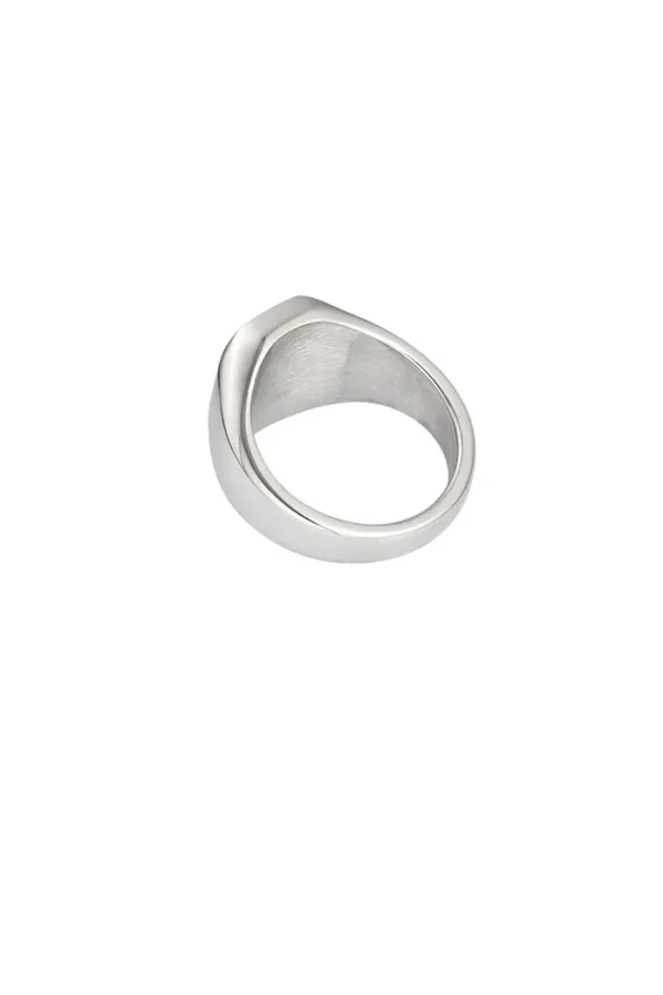 Heren ring met steen, Ring, heren, stainless steel, zilver kleureig met zwarte steen