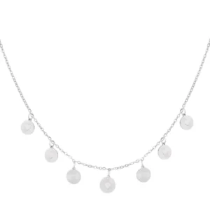 Ketting hartje coins