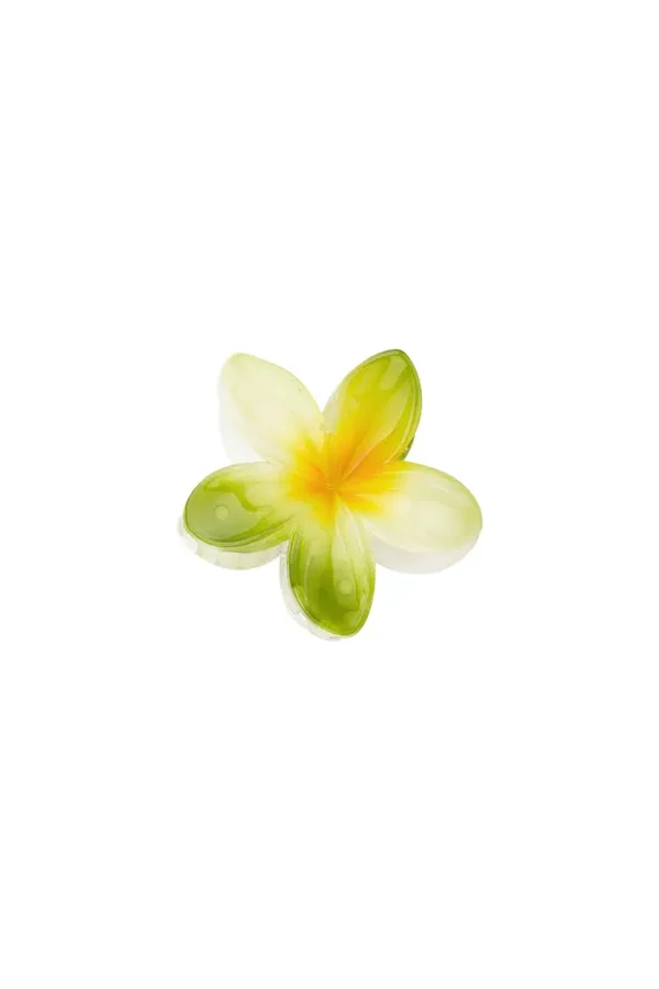Haarklem hawai, Haarklem, kunstof, 6 cm, groen, wit, gele, bloem,