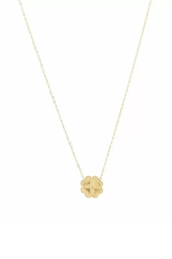 Fijne klaver ketting, Ketting, stainless steel, goud