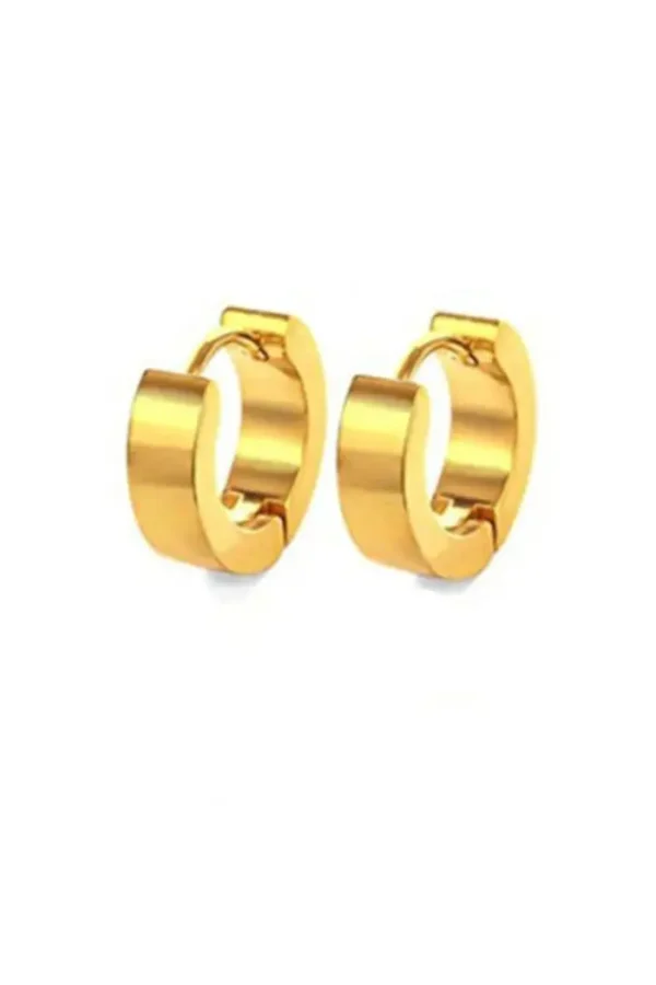 Design oorbellen, Design, dames stainless steel, goud
