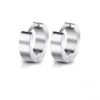 Design oorbellen, Design, dames stainless steel, zilver