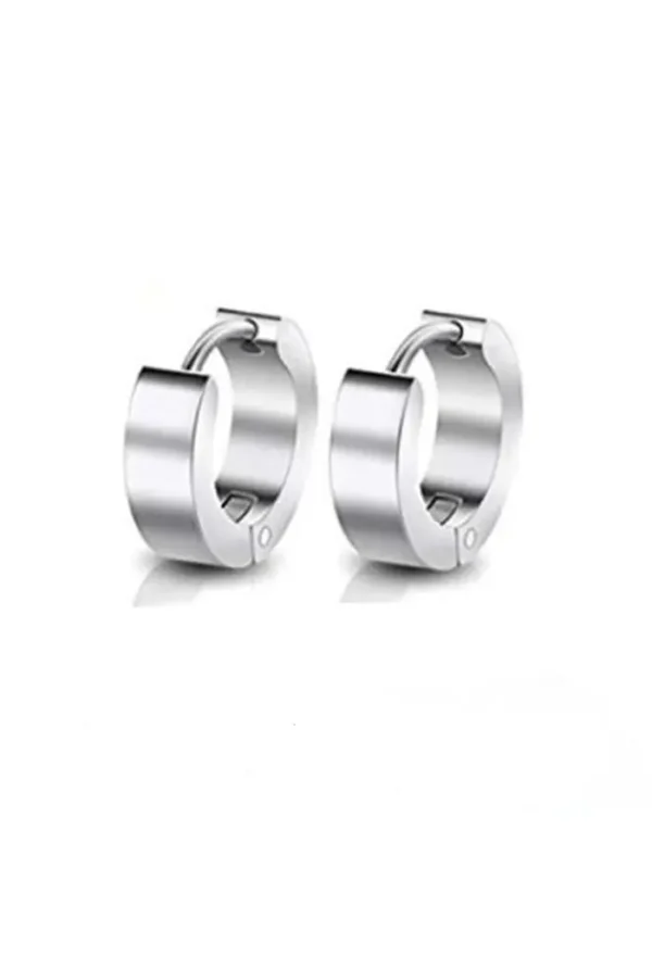 Design oorbellen, Design, dames stainless steel, zilver