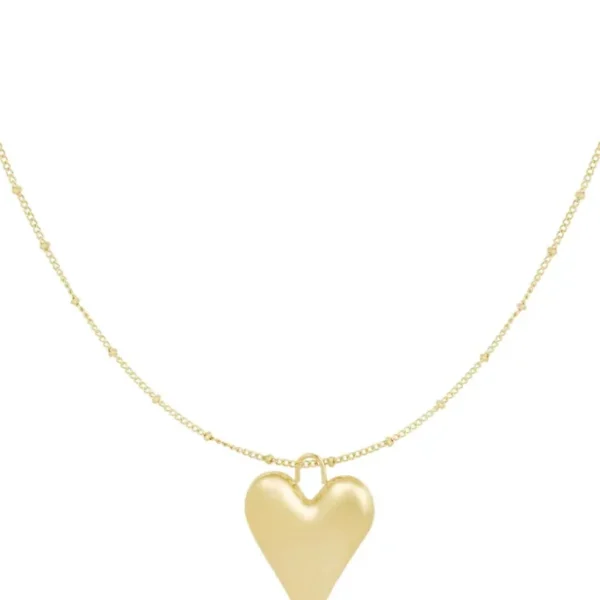 Ketting heartfelt charm
