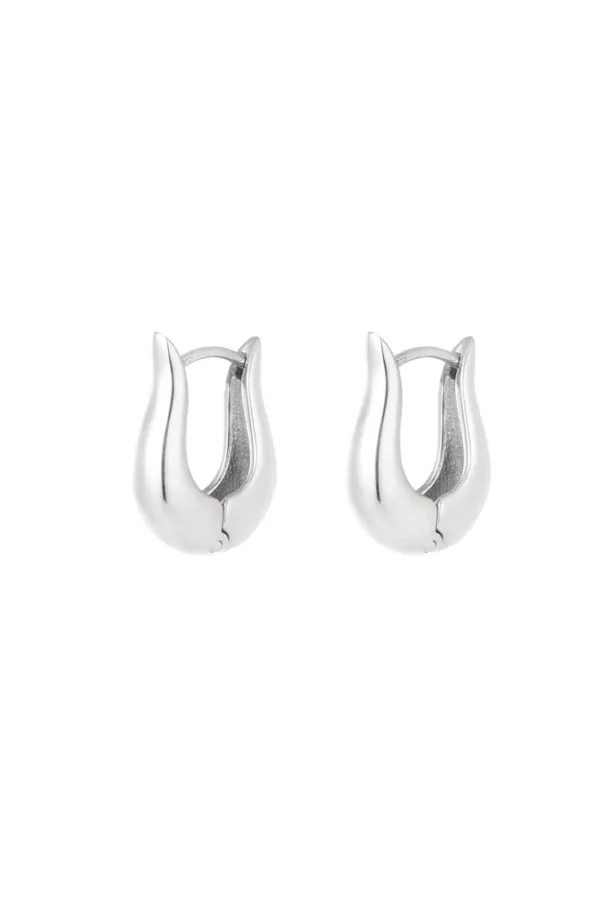 Basis oorbellen rond, Oorbellen, stainless steel, zilver