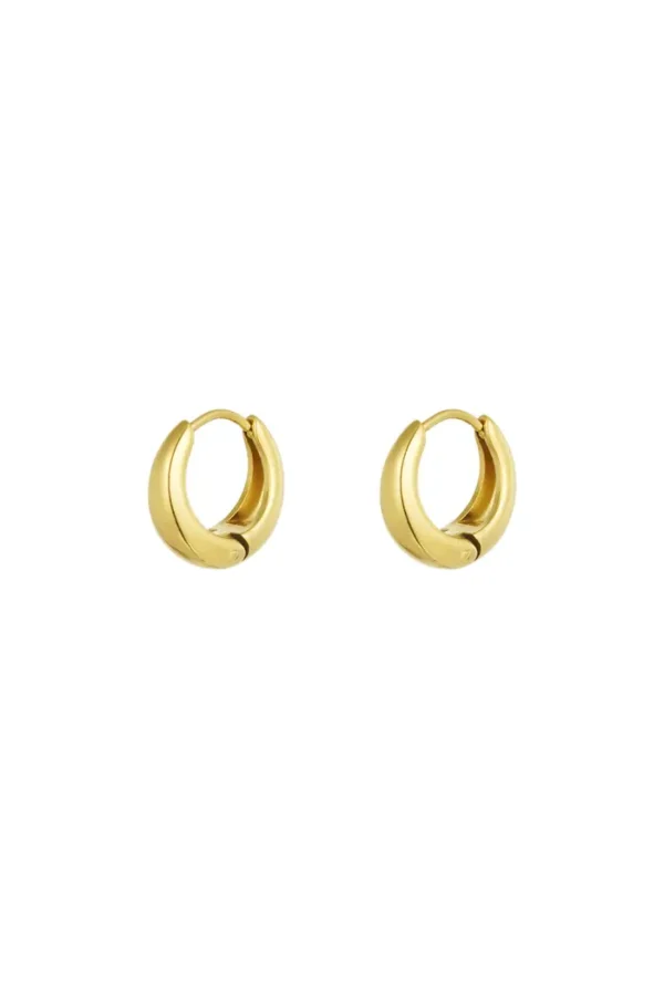 Kleine hoop oorbellen, Oorbellen, stainless steel, goud
