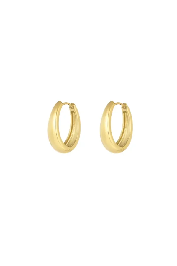 Classy hoop oorbellen, oorbellen, stainless steel, goud