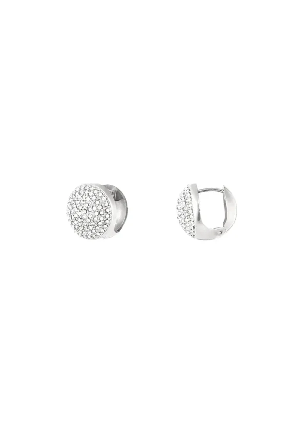 Schitterende oorbellen, Oorbellen, stainless steel, zilver