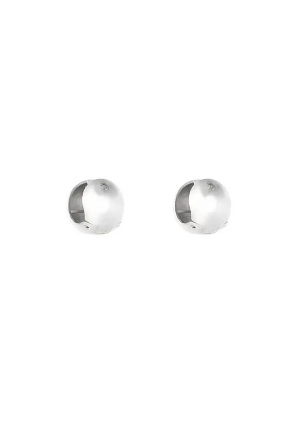 Schitterende oorbellen, Oorbellen, stainless steel, zilver
