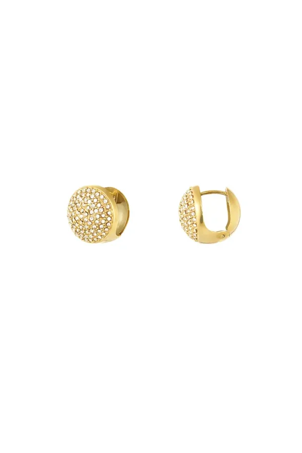 Schitterende oorbellen, Oorbellen, stainless steel, goud