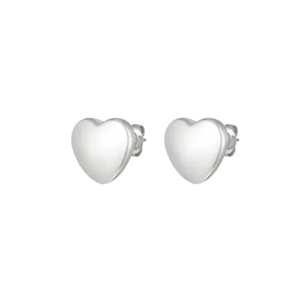 Oorstekers hartje, stainless steel, zilver kleurig