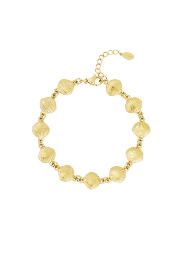 Armband shell trio, Armband, stain, 16,5 + 3 cm, 11 schelpjes, goud kleurig,