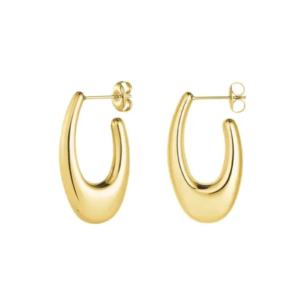 Oorbellen aesthetic, stainless steel, goud kleurig