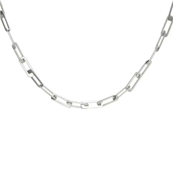 Grote schakel ketting, stainless steel, 40 + 5 cm, zilver kleurig