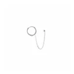 Boei oorbellen, stainless steel, lengte 2,5 cm, zilver kleurig,