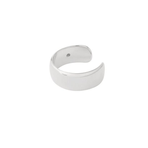 Earcuff dailly, Earcuff, koper, 46mm breed, zilver kleurig,