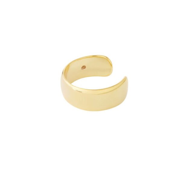 Earcuff dailly, Earcuff, koper, 46mm breed, goud kleurig,