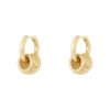 Put a ring on it, oorbellen, stainless steel, 2,1 bij 1,6 cm, oorbel met 5 ringetjes, goud kleurig,