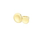 Ring cirkels groot, ring, stainless steel, onesize, goud kleurig,