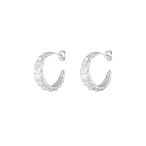 Textured hoops oorbellen, oorbellen, stainless steel, 2,5 grootte, geribbeld, zilver kleurig,