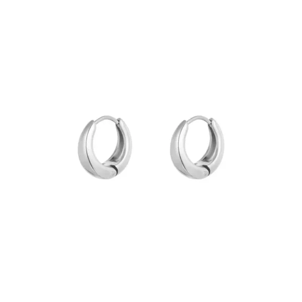Kleine hoop oorbellen, stainless steel, 1,4 x 1,4 cm, breed op lopende oorbellen, zilver kleurig,