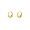 Kleine hoop oorbellen, stainless steel, 1,4 x 1,4 cm, rbreed op lopende oorbellen, goud kleurig,
