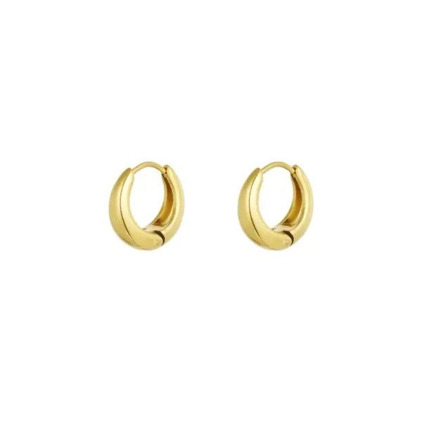 Kleine hoop oorbellen, stainless steel, 1,4 x 1,4 cm, rbreed op lopende oorbellen, goud kleurig,