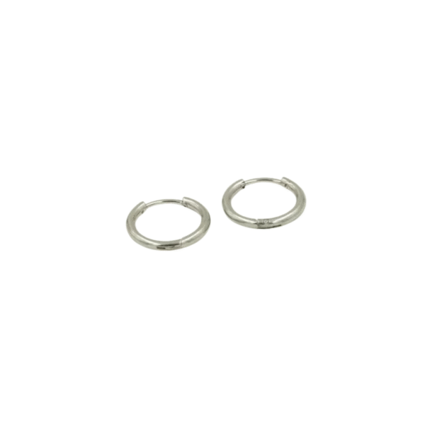 Oorbellen ring 12mm, Oorbellen, stainless steel, 12 mm, zilver kleurig,