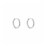 Oorbellen ring 12mm, Oorbellen, stainless steel, 12 mm, zilver kleurig,