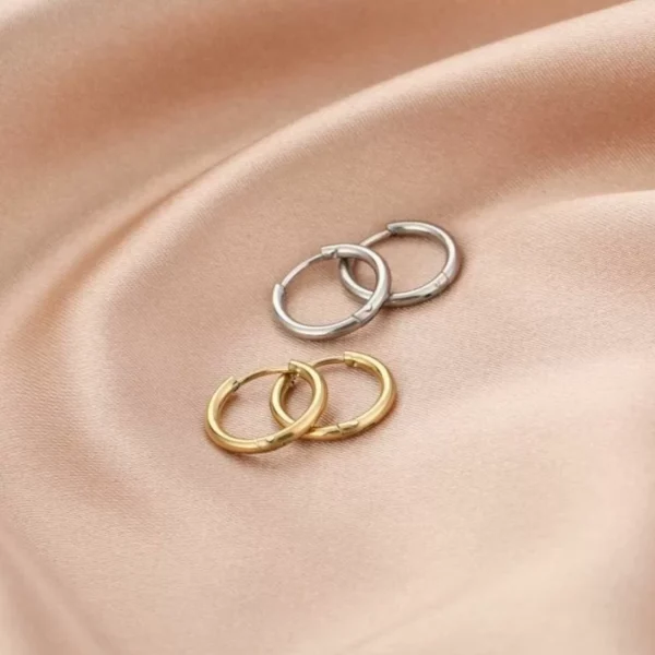 Oorbellen ring 12mm, Oorbellen, stainless steel, 12 mm, goud en zilver kleurig,