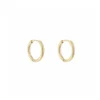 Oorbellen ring 12mm, Oorbellen, stainless steel, 12 mm, goud kleurig,