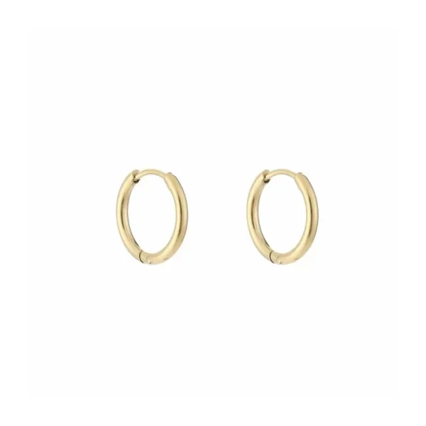 Oorbellen ring 12mm, Oorbellen, stainless steel, 12 mm, goud kleurig,