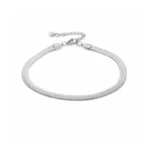 Plat enkelbandje 5mm, stainless steel, lengte 22+ 4 cm, 3mm breed, zilver kleurig,