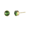 Oorbellen groen steentje, Stainless steel, knopje van 0,5-1cm, goud kleurig met groen kristal,